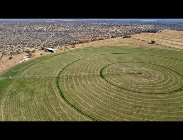 FARM FOR SALE IN THABAZIMBI RURAL